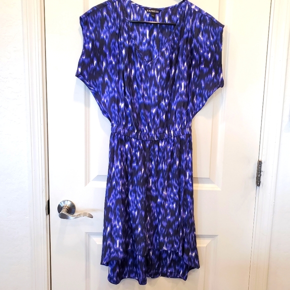 Express Dresses & Skirts - Dress